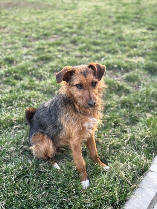 Девочка Евочка ищет любящую семью