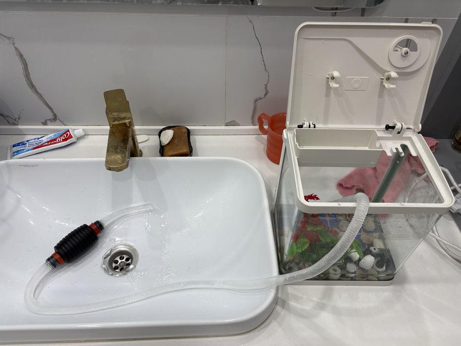 Аквариум для маленьких рыб