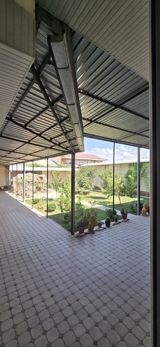 Дурмень цен.7сот.9хона