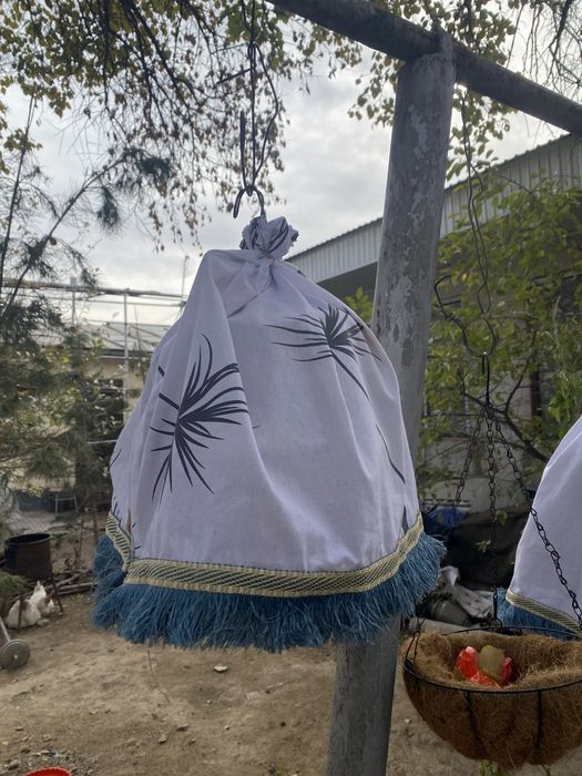 Продам бедана поющие