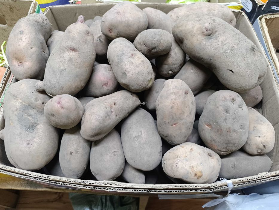 Продам картофель домашние