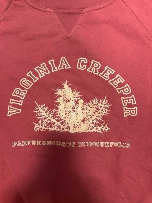 RAF Simons Virginia Creeper Red Sweatshirt