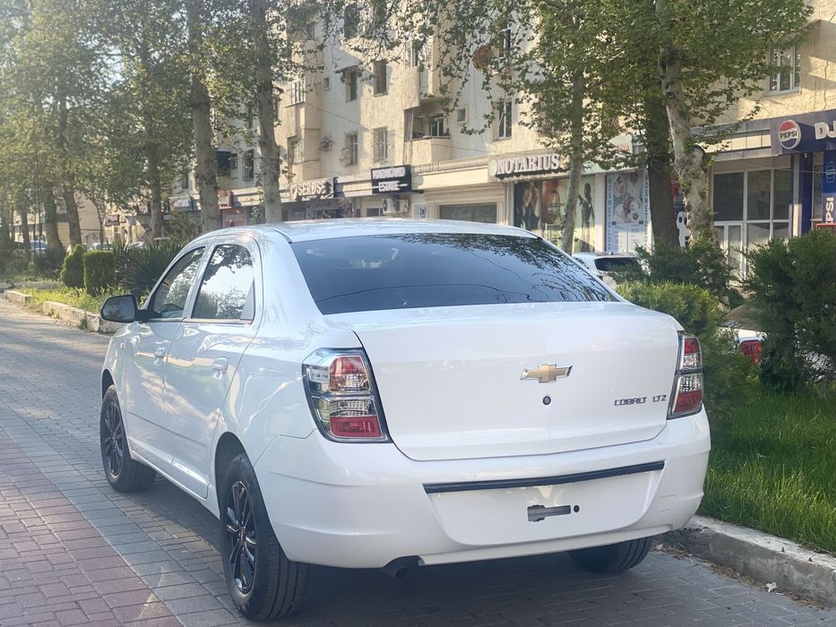 Cobalt 2026 МСМ Pachka