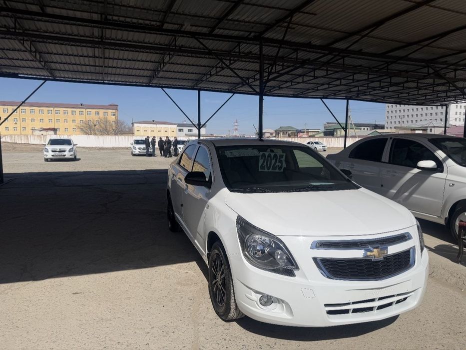 Ковалт Миднайт 2025