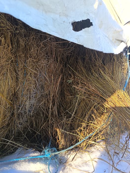 Vand baloti de Lucerna 120/120 coasa 2 și 3 și de fân