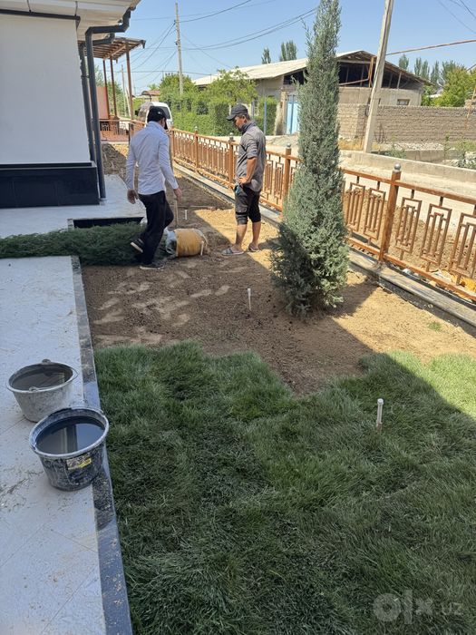 Gazon landshaft dizayin xizmati