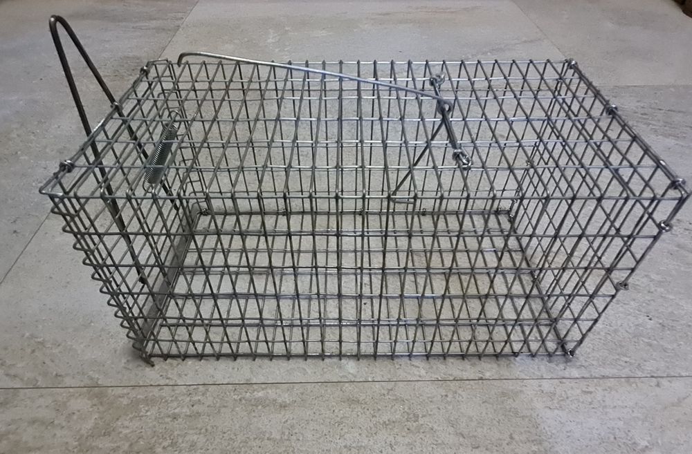 Capcana șoareci sau șobolani