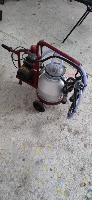 Mulgătoare cu 4 posturi.