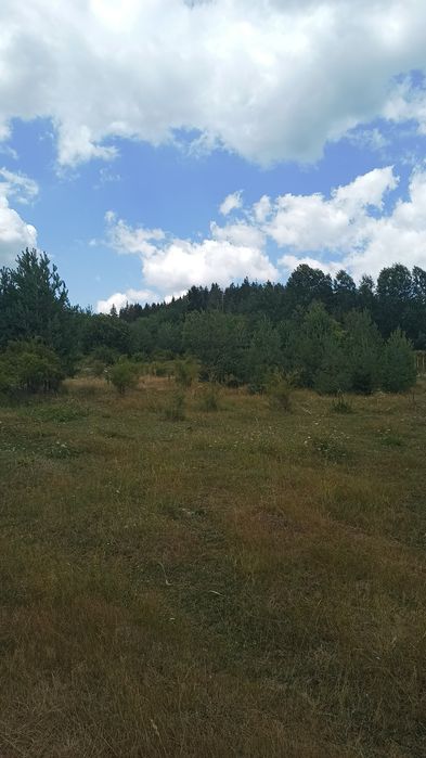 Продава се Парцел в к.к. Пампорово - 5500 кв.м за 29 €/кв.м - Снимка #2