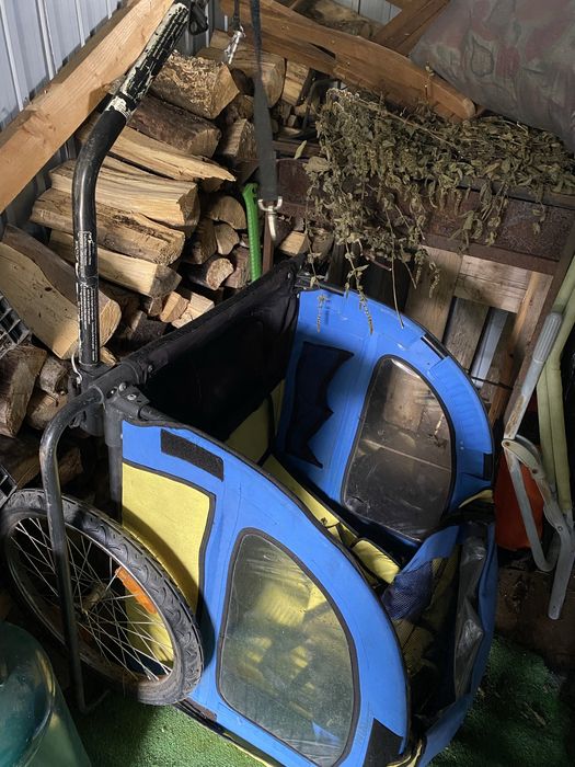 Remorca copii pt bicicleta