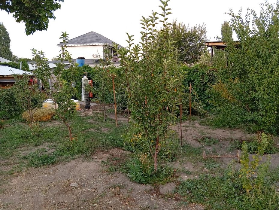 Продается дом за линией