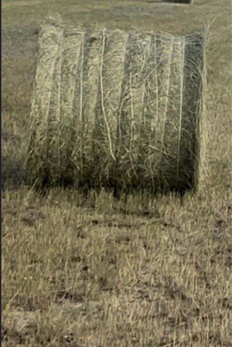 Продаётся качественное, сухое сено в тюках.