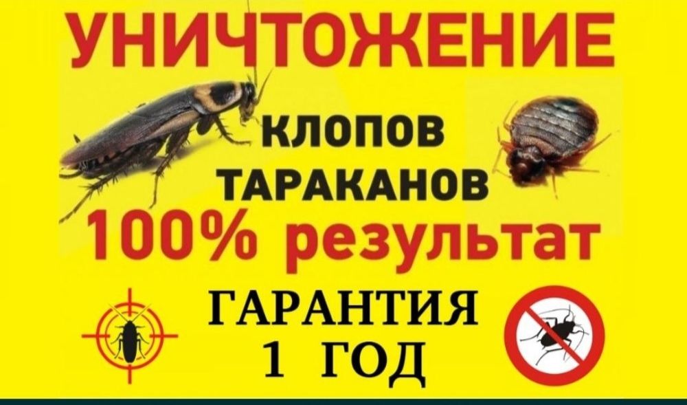 Дезинфекция квартир , уничтожение паразита,  тараканы , услуги, Семей