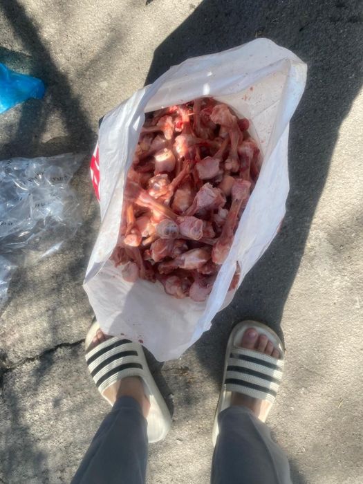 Супнабор для собак