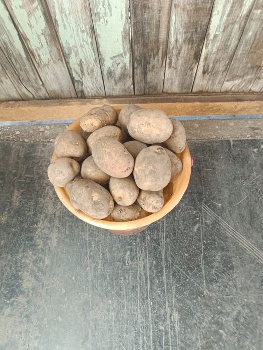 Продам картошку!