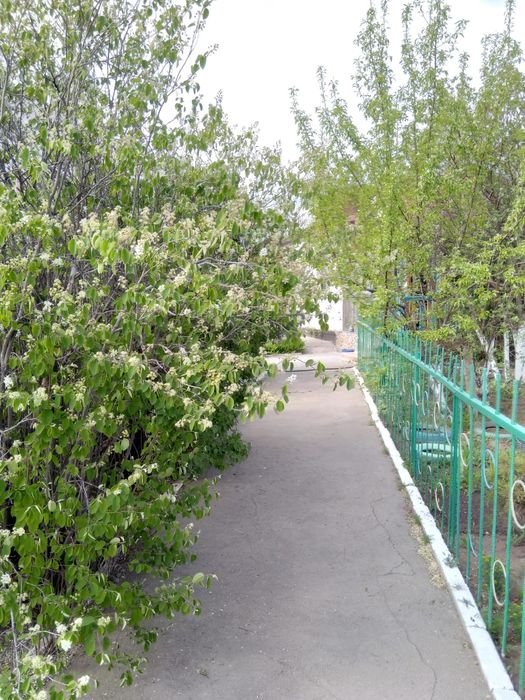 Продам часть дома