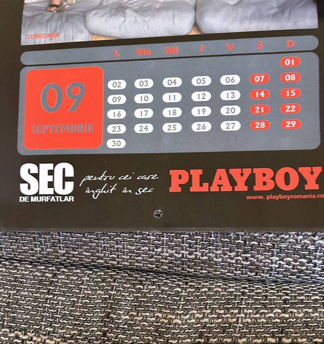 Calendar Playboy 2002 și reviste