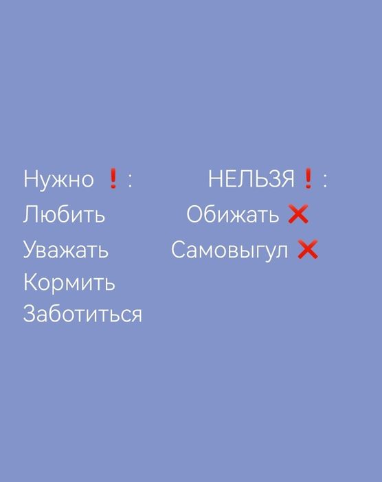 Только ответственным людям