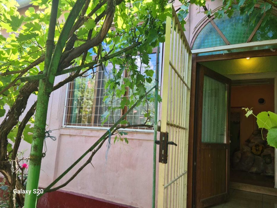 Casa cebza timisoara