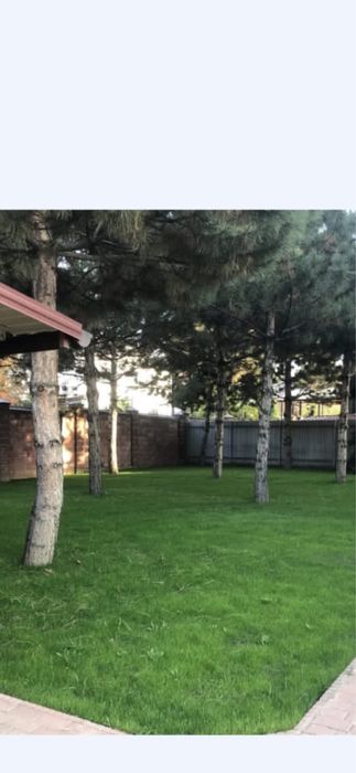 Автополив и Газон