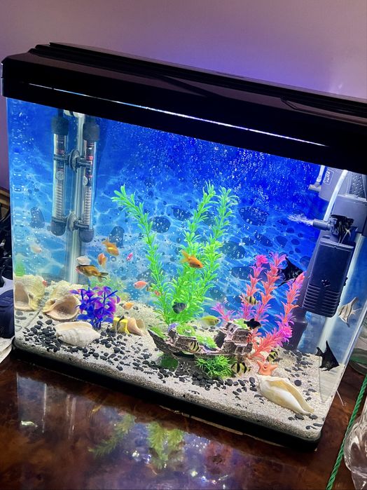 Чистка аквариума. Обслуживание, оформление аквариума.