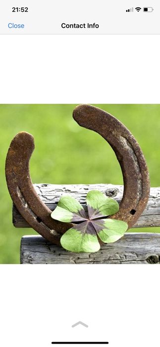 Бу подковы на счастья