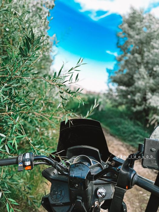 Скутер макси мофед