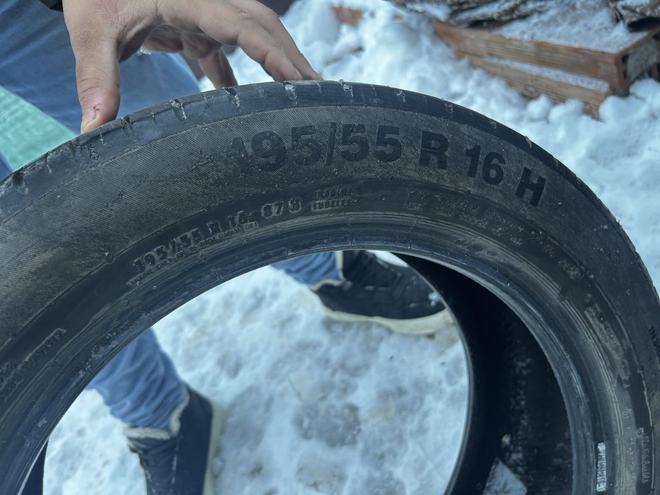 vand caucicuri de vara