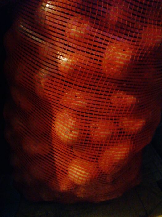 Продам картофель, сорт галла