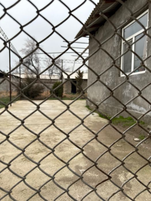 Yer sotiladi , Yangi Hayot Sergili