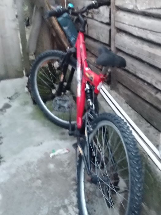 Bicicleta kreativ