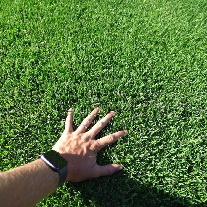 Газон живой, Дания, Оптом ³. От 40000 сум