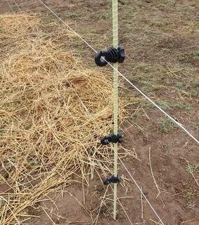 Электропастух Для КРС