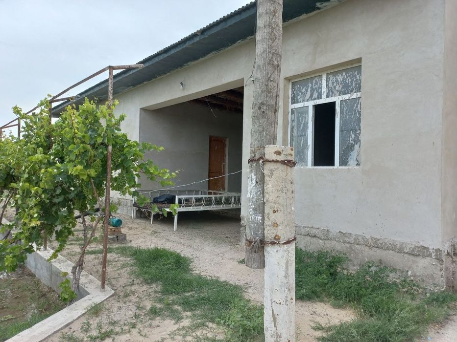 Romitan tumanida joylashgan 15 sotixli hovli tezda sotiladi.