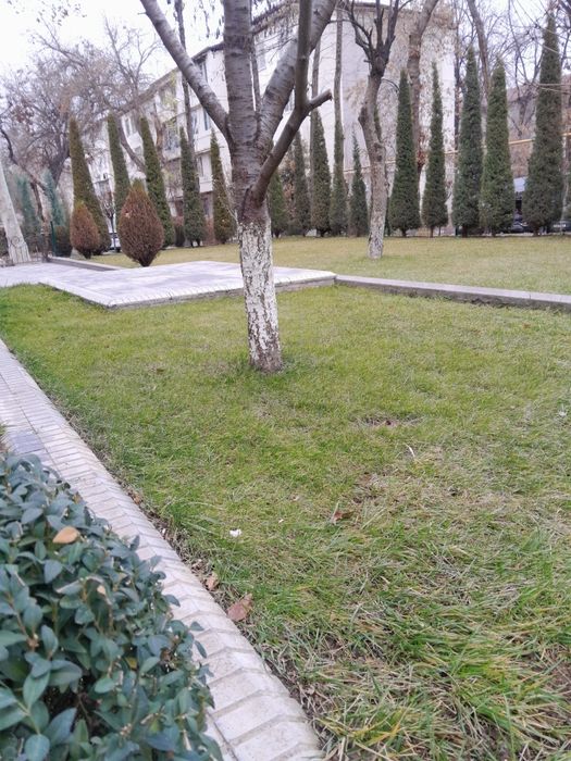 УБОРКА ОГОРОДА Помогу с уборкой участка  перевести порядок
Ванна • кух