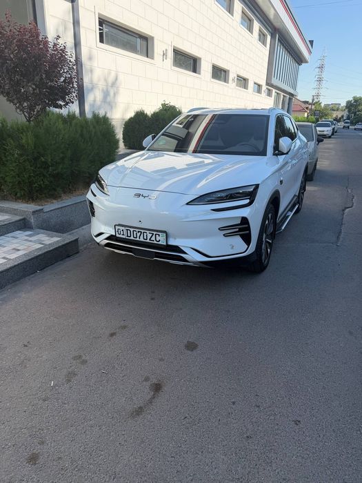 BVD Smart 2025 toza kraska.