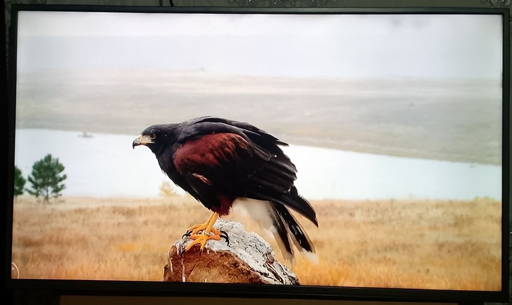 Televizorlar android