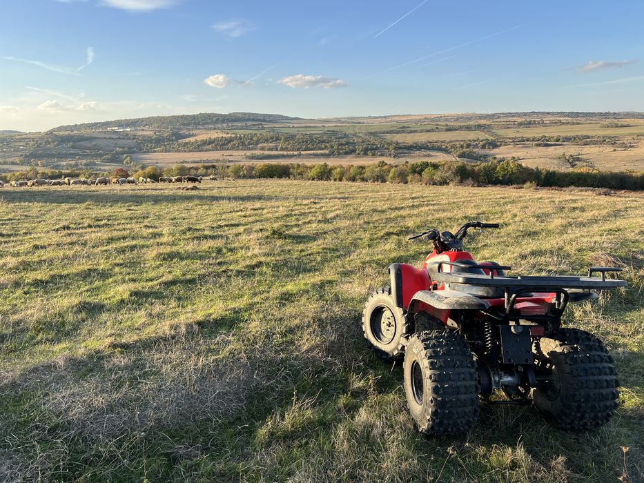 Aeon  Cobra 180cc