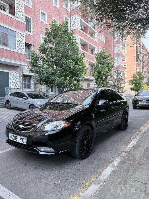 Qora gentra sotiladi