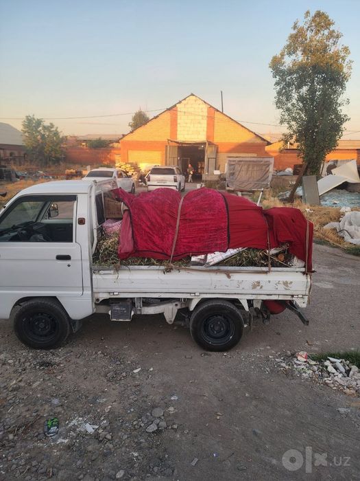 Musur musor musir вывоз мусора стротилне мусора LABO