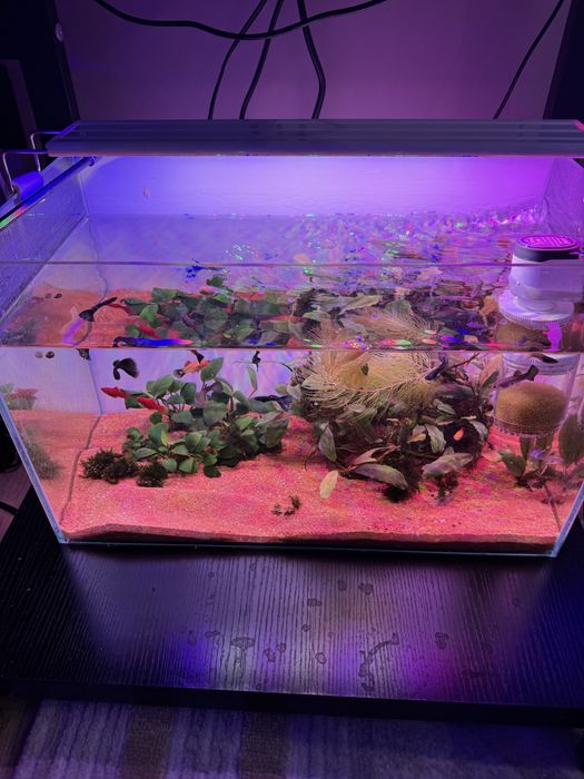 Аквариум комплект