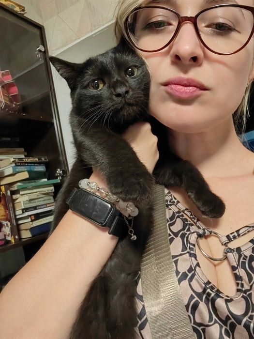 Котятки за шоколадку