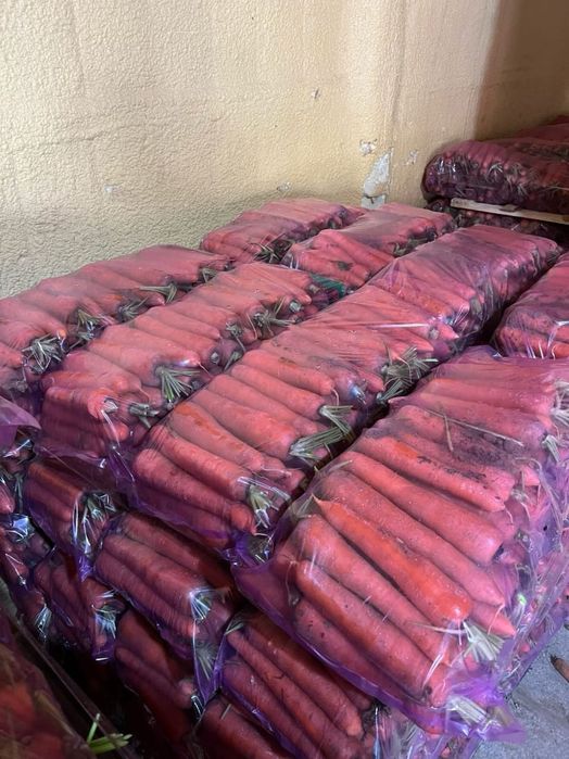 Морковь  оптом от 20 тонн