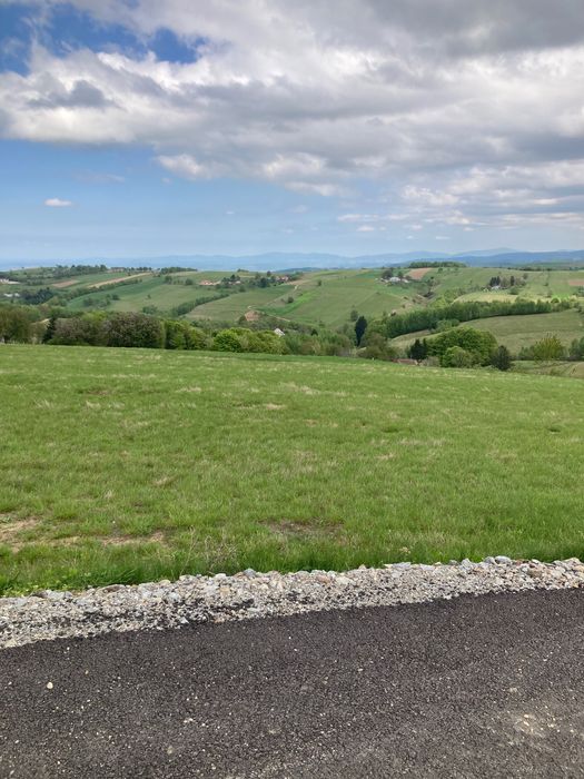 Teren intravilan in Șinteu 3 Ha