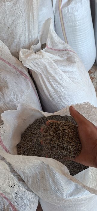 Floare de lavanda uscata,   bio ( productie 2026)  si ulei de lavand