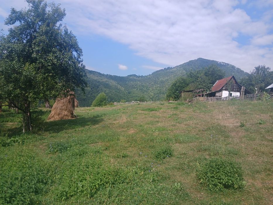 Vând teren extravilan