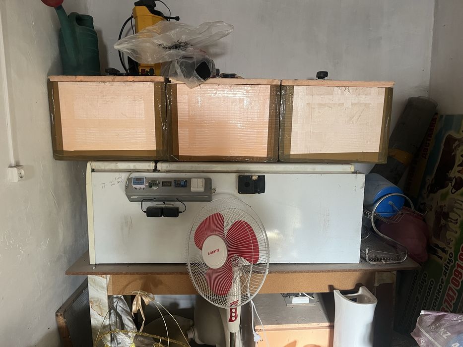 Инкубаторлар сатылады