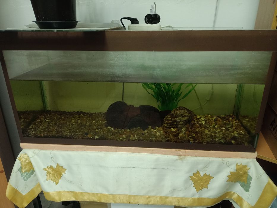 Продам Аквариум для рыб