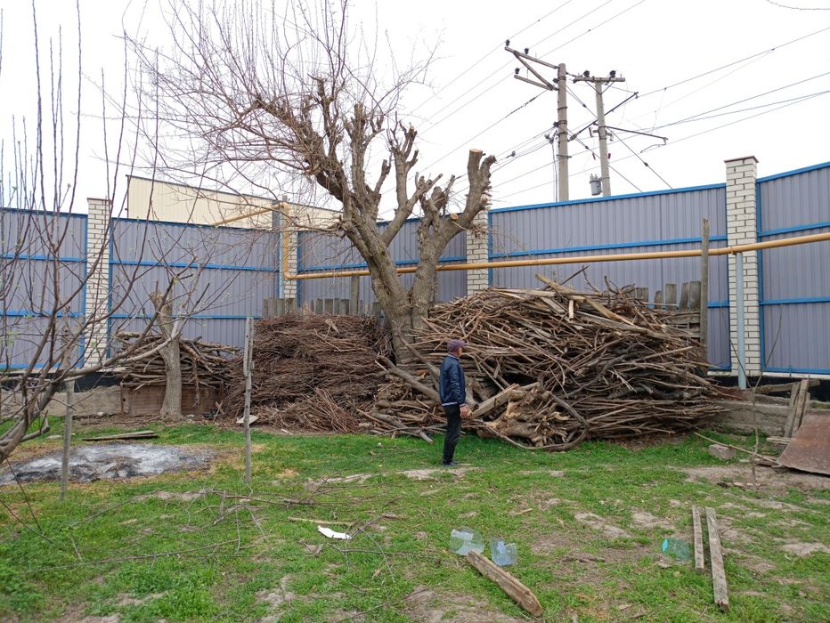 Arzon narxda O'tin sotiladi