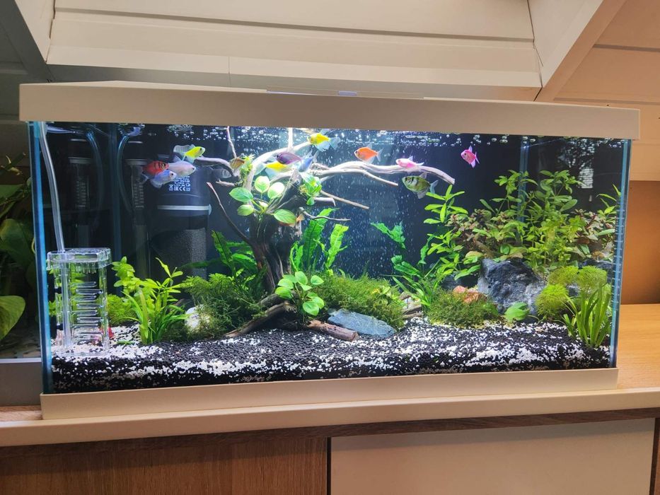 Аквариум 54литра